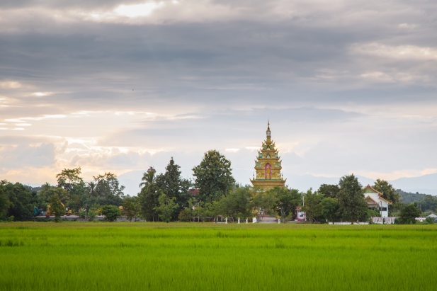 Chiang Rai beautiful rice fields and temples